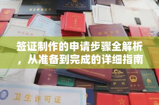 玉州签证制作的申请步骤全解析，从准备到完成的详细指南