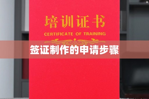 玉州签证制作的申请步骤