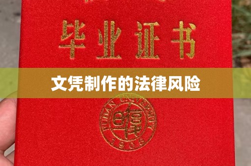 玉州文凭制作的法律风险