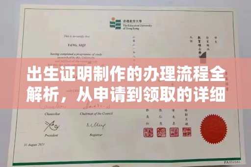 玉州出生证明制作的办理流程全解析，从申请到领取的详细指南